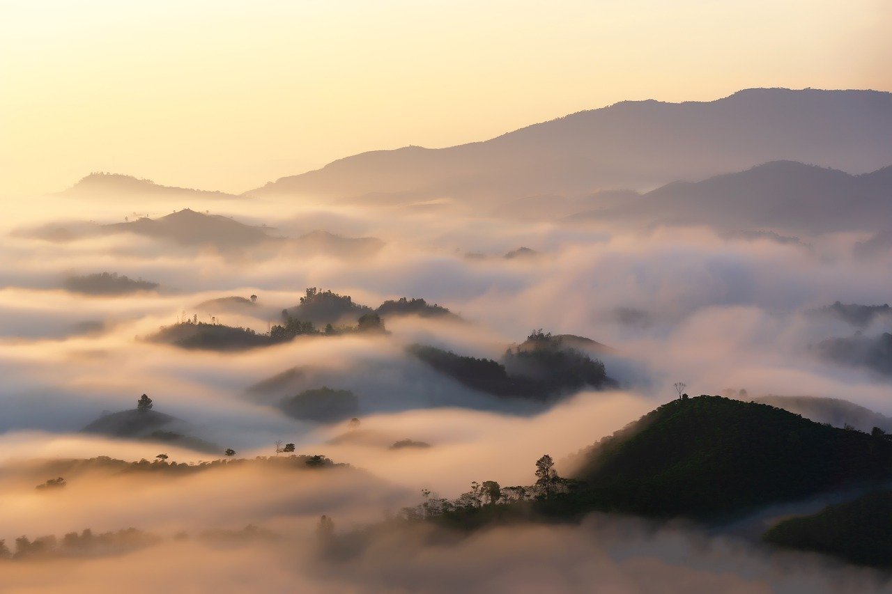 finding-meaning-of-life-literary-exploration